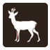 Haslev